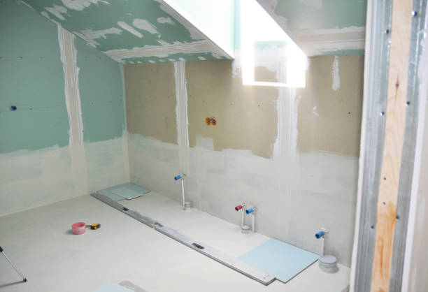 Best Residential Mold Inspection & Testing  in Coloma, MI