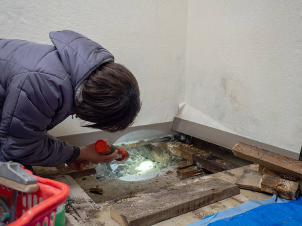 Best Airborne Mold Testing  in Coloma, MI