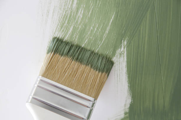 Best Black Mold Removal  in Coloma, MI