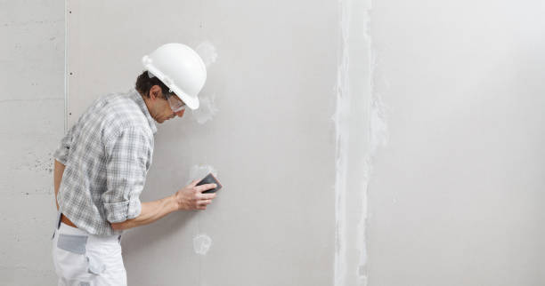 Best Mold Damage Restoration  in Coloma, MI