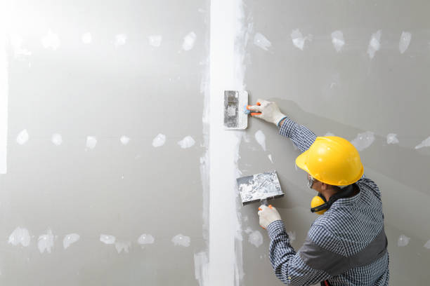 Coloma, MI Mold Removal Company