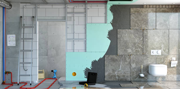 Best Attic Mold Removal  in Coloma, MI