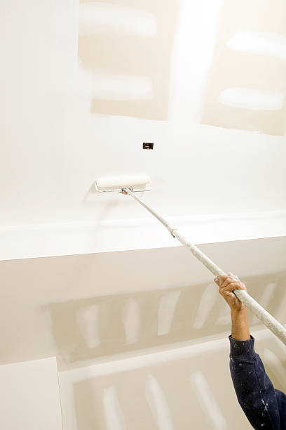 Best Commercial Mold Inspection  in Coloma, MI