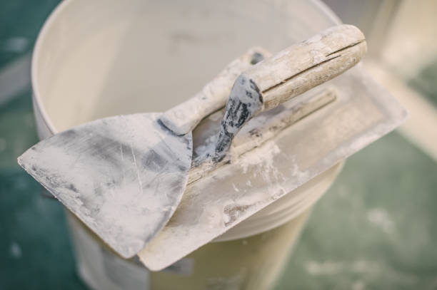 Best Environmental Consulting for Mold Prevention  in Coloma, MI