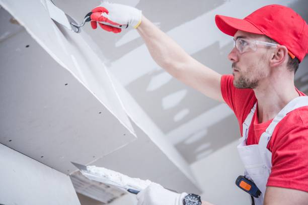 Best Real Estate Mold Inspection  in Coloma, MI
