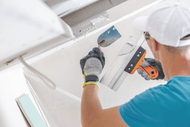 Best Industrial Mold Remediation  in Coloma, MI